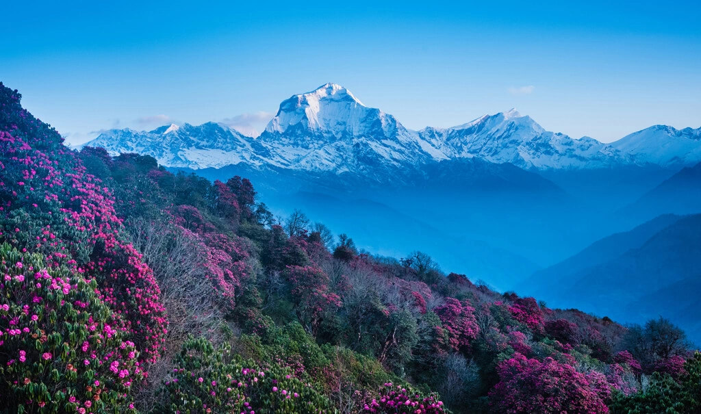 Ghorepani