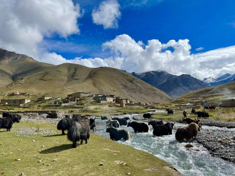Manang